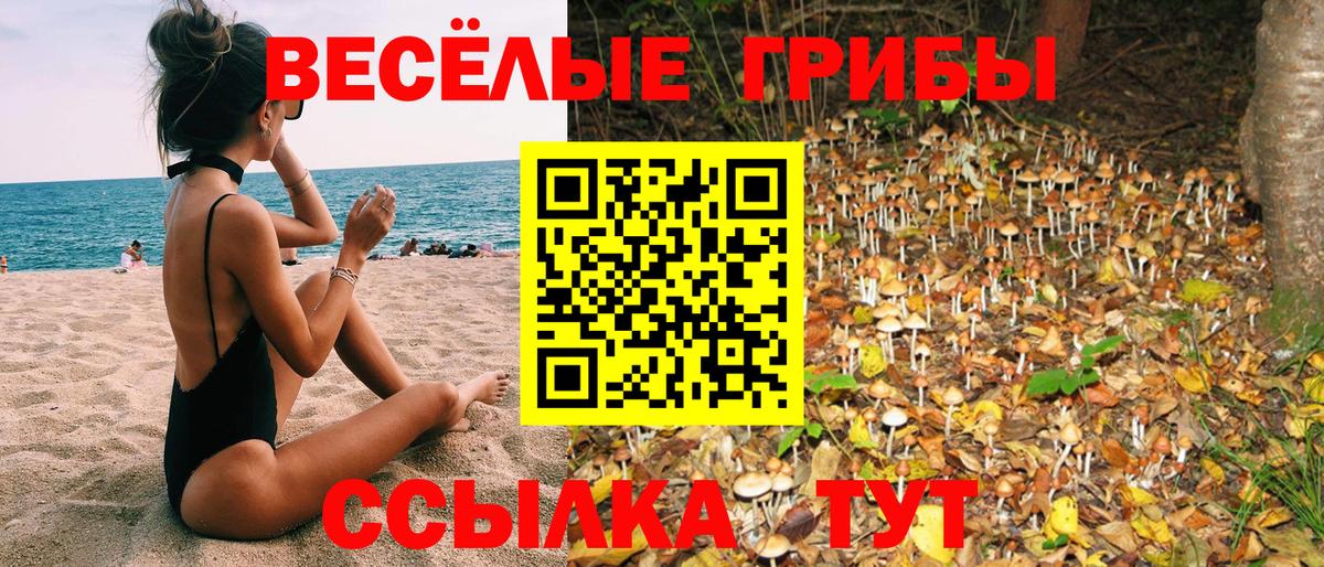 Псилоцибиновые грибы GOLDEN TEACHER Мариинск
